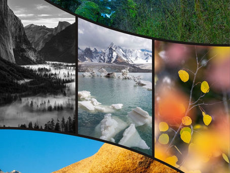 Landscape Photography with Megan Guffey Photography