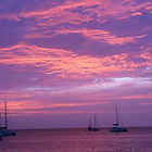 Sunlit Stock Image Pink Sunset