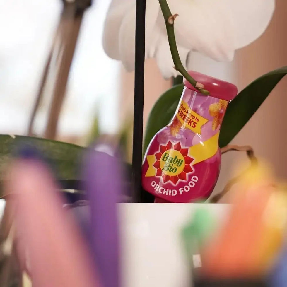 Thumbnail: Baby Bio Orchid Drip Feeders 4 x 40ml – image 5