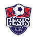 cesisprofile.jpg