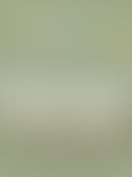 Sponsor a Meal flyer displaying snow globes with pricing info 