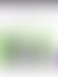 Bar chart titled Six-Month Growth Comparison shows 2025 vs 2026; green 2026 bars exceed purple 2025 in all categories.