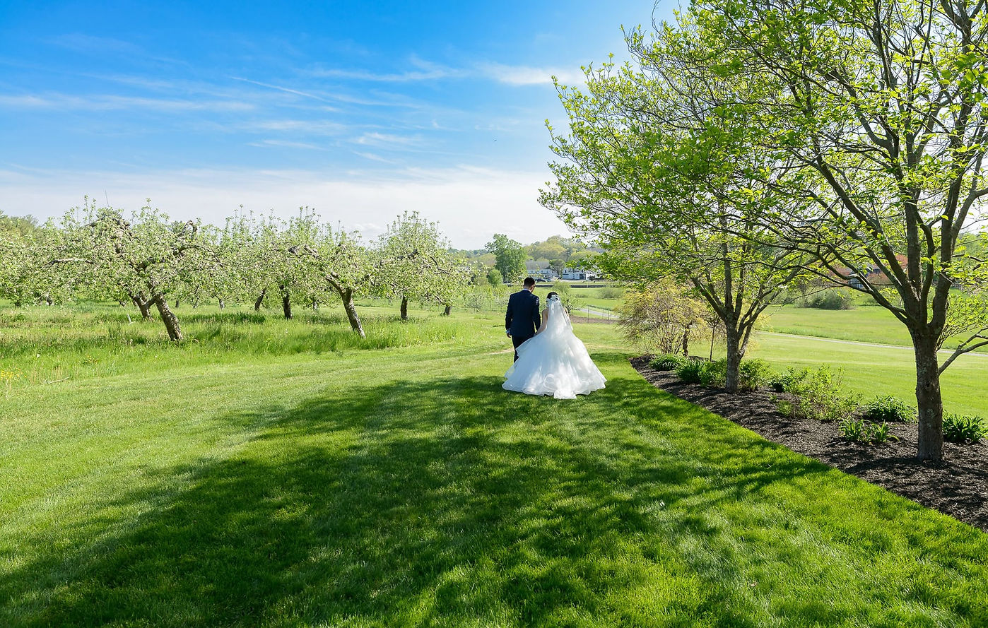 bride-and-groom-in-the-distance-on-green-grass.jpg