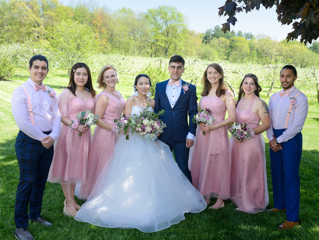 Bride and groom posing with their wedding party in a lush outdoor orchard setting. The bride wears a white gown, and the groom is dressed in a navy suit with a pink bow tie. The bridesmaids wear blush pink dresses, holding matching bouquets, while the groomsmen sport pink shirts with suspenders and complementing boutonnieres. The group smiles warmly under a clear blue sky, with greenery and trees in the background.