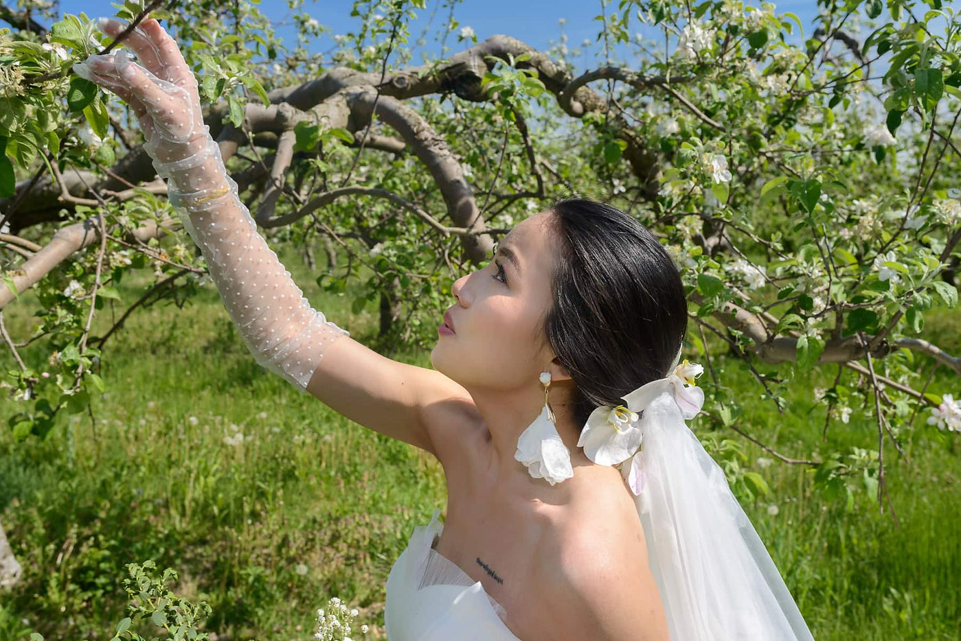 portrait-of-bride-in-apple-blossom-orchard.jpg