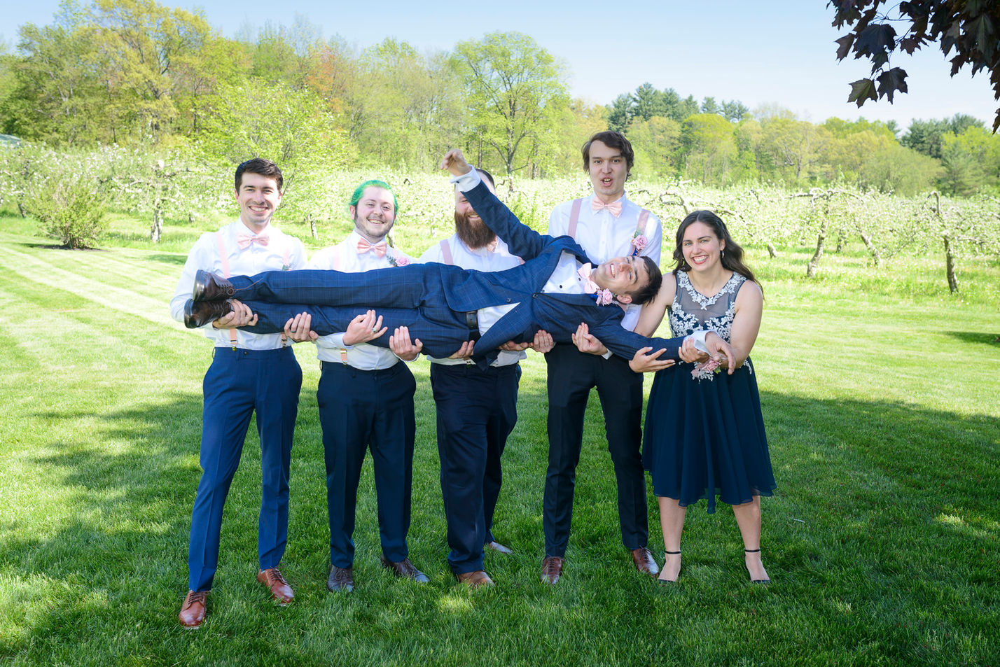 Groom being playfully lifted by his groomsmen and a bridesmaid in a lighthearted group photo taken in an apple blossom orchard. The groom, wearing a navy suit, smiles as his friends, dressed in matching outfits with pink suspenders, hold him up while laughing. The vibrant green landscape and sunny weather add to the fun and joyful atmosphere.