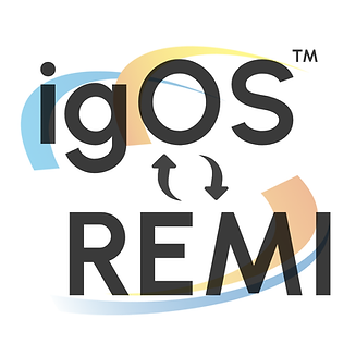 REMI (19).png