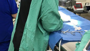 Pet Insurance. Is it worth the money? 🙂