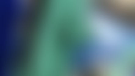 Pet Insurance. Is it worth the money? 🙂