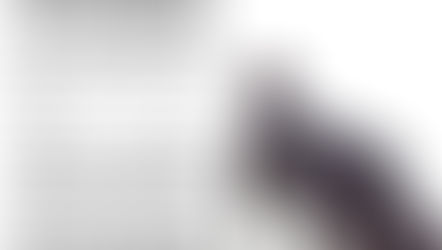 Why it is important to let your dog sniff 🙂