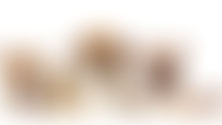 So our thoughts on...What Is Grain Free Dog Food?