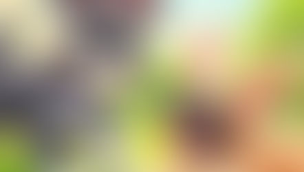 Has your puppy been stung?