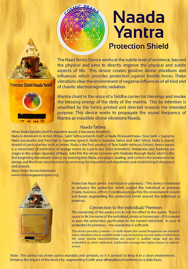 ProtectionShieldFlier.jpeg