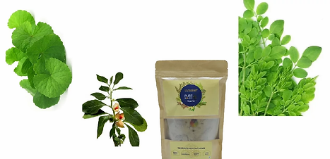 WG_Ashwa_Bhrami_moringa_6 (1).webp