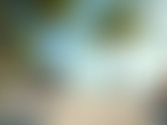 Explore Top All-Inclusive Family Vacations