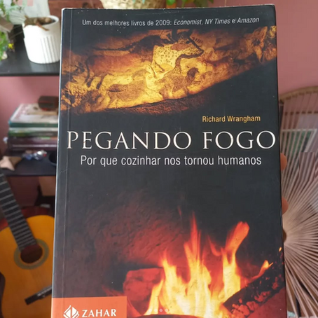 Por que cozinhar nos tornou humanos? Mais uma dica de livro