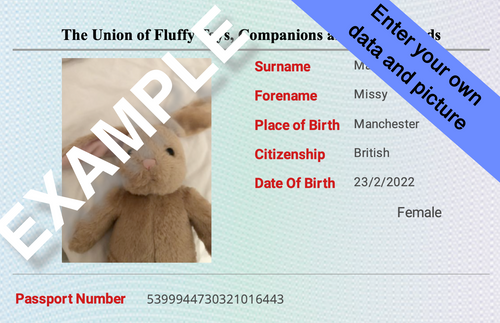 Personalised Page for Toy Passport | DCF publishing