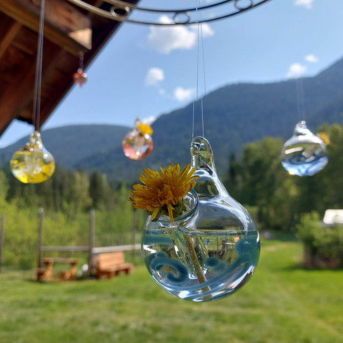 Hummingbird Feeder Wildfire Productions