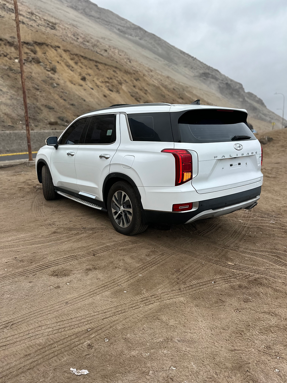 Miniatura: HYUNDAI PALISADE 4x4 2019 T. DIÉSEL (VOLANTE ORIGINAL)