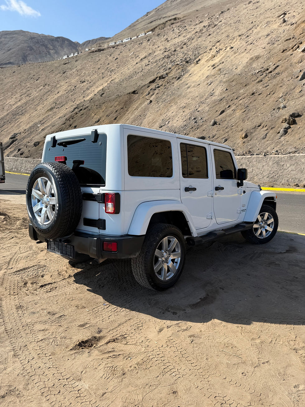 Miniatura: JEEP WRANGLER SHARA 4x4 2014 T. DIÉSEL (VOLANTE ORIGINAL)