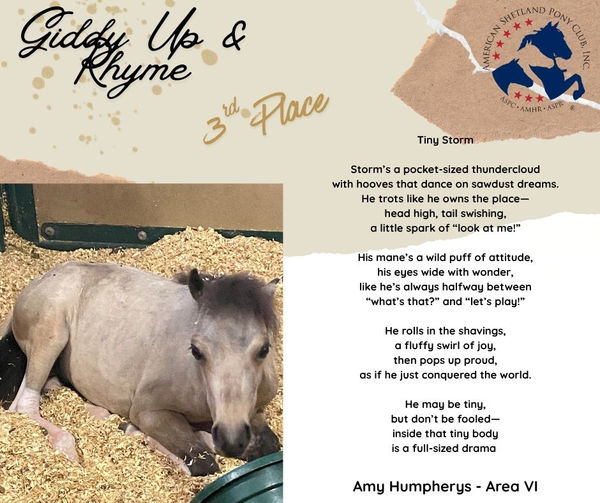 New Poetry 3rd Place.jpg