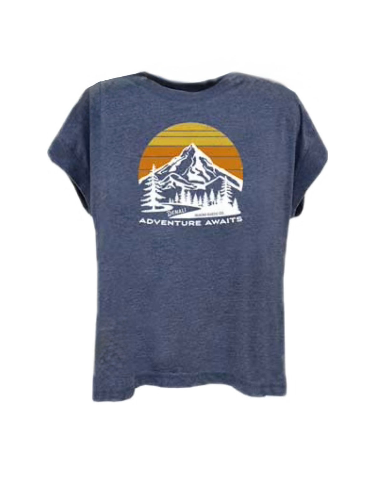 Vintage Adventure Awaits Soft Triblend Casual Tee