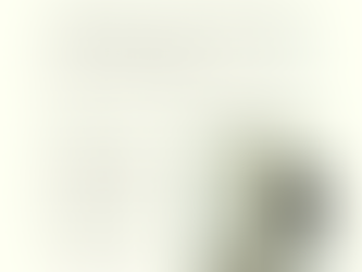 A white wall and fireplace with a paint bucket labeled "ROMABIO Mineral Wash" in front. An electrical outlet is visible on the left.