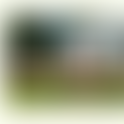 Sanding, A deck.with a fesrtool snader wearing a red shirt