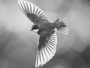 Critical Thinking and Evaluating Medical Claims