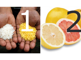 GMOs Part 7: Inherently safer AND more tested