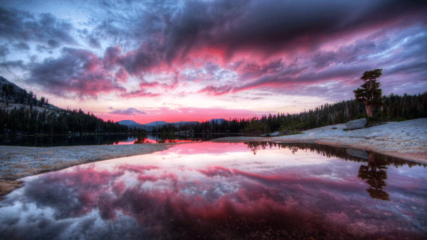 purple mirrored sky.gif