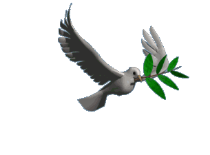 flying-peace-dove.gif