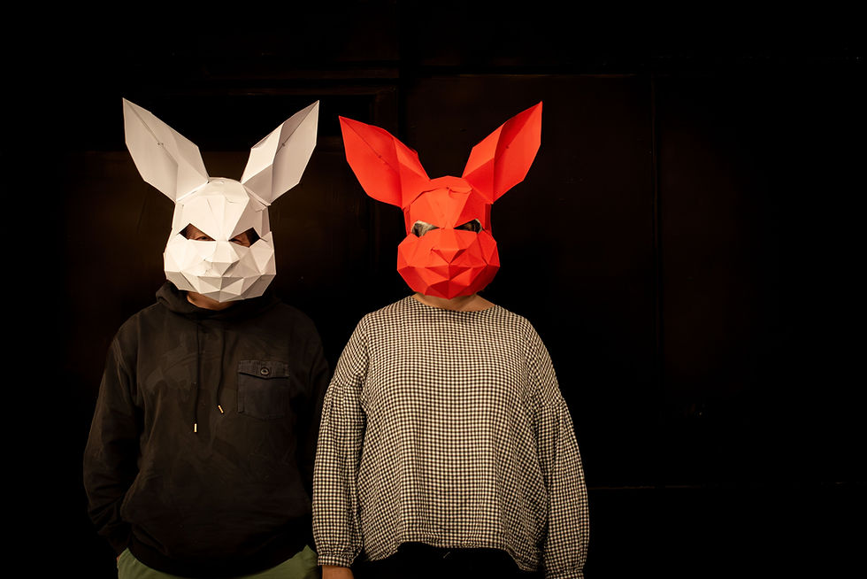 WHITE RABBIT RED RABBIT at Wollongong Workshop Theatre