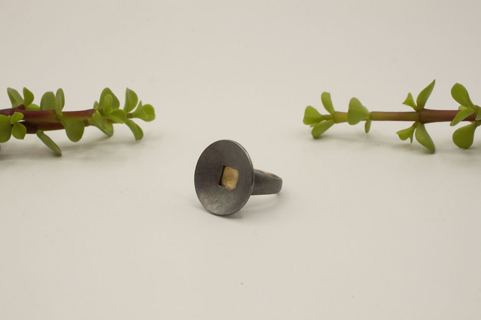 Miniatura: Anell Protos