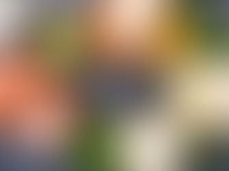 Vitamina D: ecco a cosa serve veramente