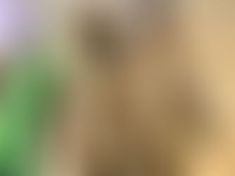 TFSnack_Mini Cinnamon Tahini Bites