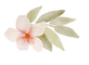 RITA TRUDeau simple fond transparent.png