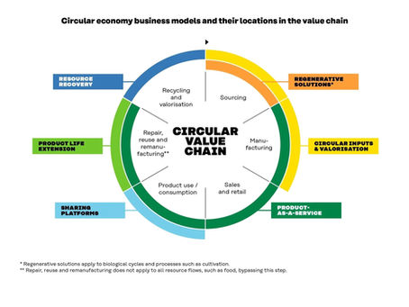 Circular Value Chain & Economy