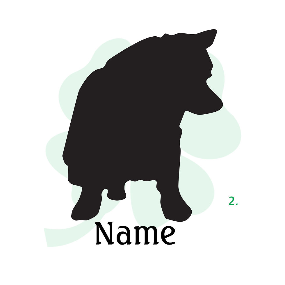 Thumbnail: Pomeranian Vinyl Stickers