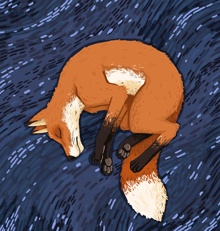 Cosmos Fox