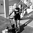 DOGGY DAY OUT