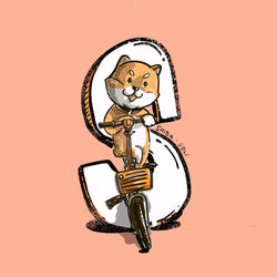 Shiba Seli