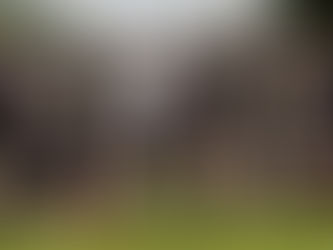 Minors V Breaffy West Mayo B Final