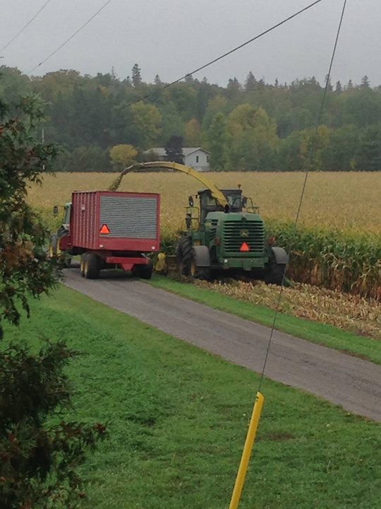 Fun on the Farm, Corad Farms, Pakenham, Ontario