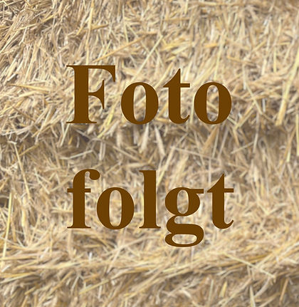 Foto folgt.jpg