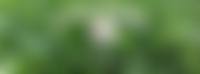 A white mushroom peaking up between blades of grass and clover. Titled "living slowly" with the caption "what I've learned from a slow living lifestyle".