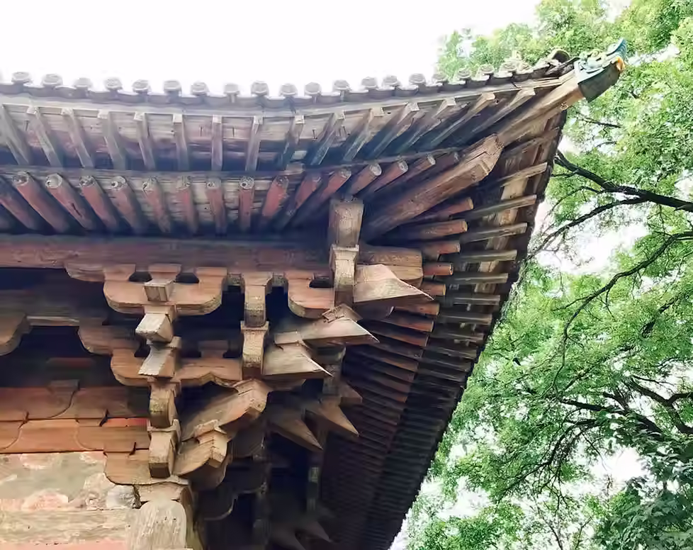 Traditional Timber Architecture – Nature & Dougong