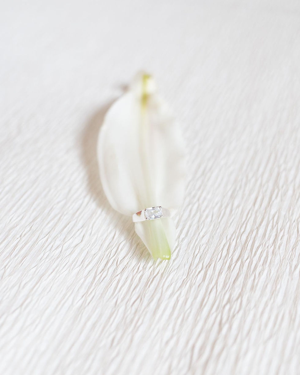 WHITE PETAL STILL LIFE