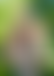 Your Support in Action: Martin Family Overcomes Hardships with the Help of Our Community