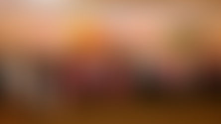 Partnership in Action: Society of St. Vincent de Paul and Charity Guild of Catholic Women Unite to Support Houston Families